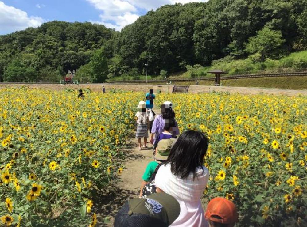 夏休み中間報告