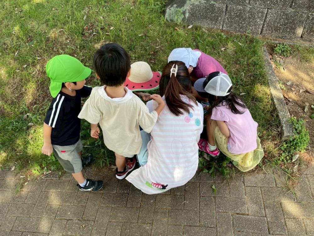 🔆お散歩の季節🔆