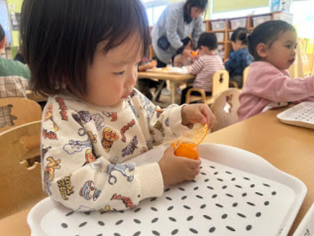 食育でみかんジュースづくりしたよ！🍹