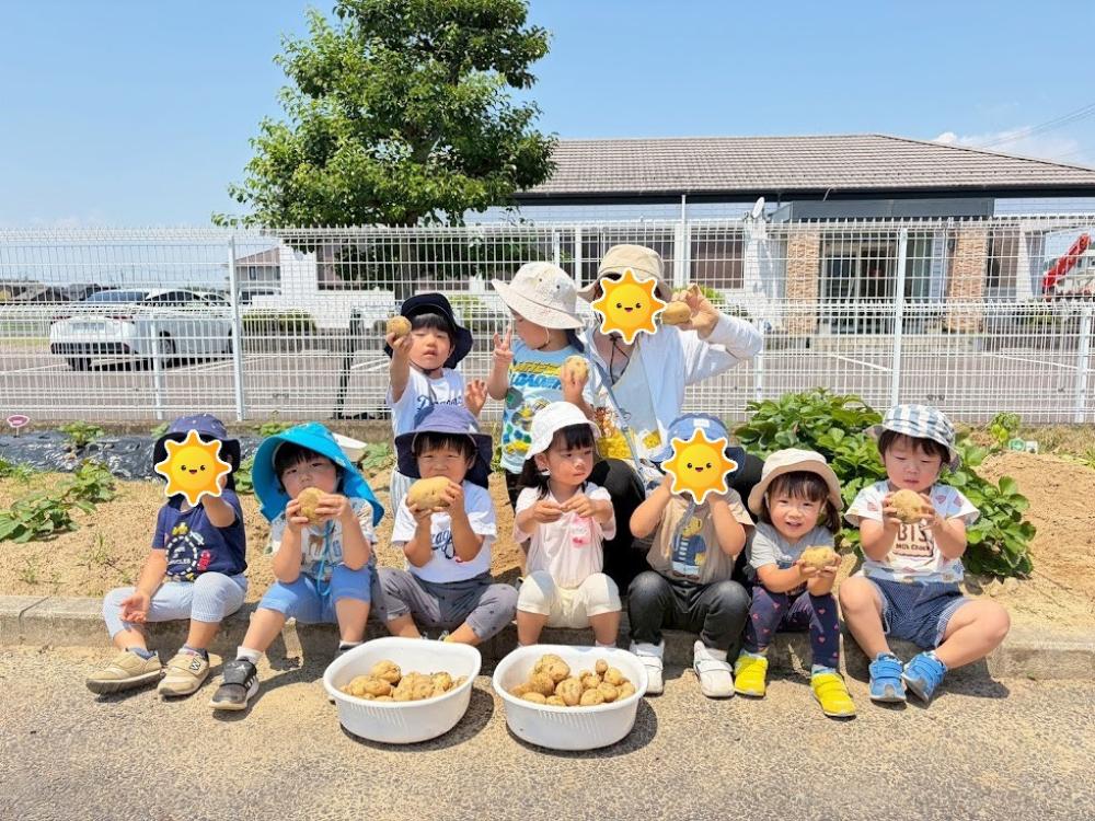 じゃがいも掘りをしたよ！🥔